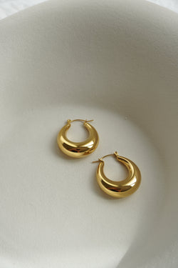 18K Gold Plated Polly Earrings